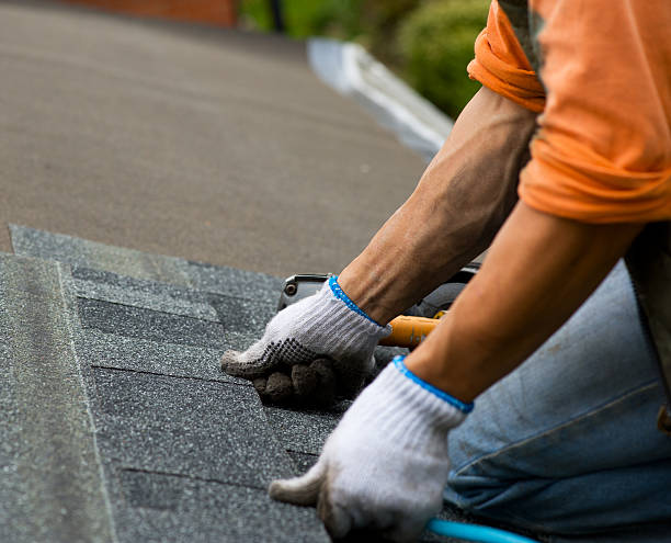 Best Metal Roofing Contractor  in Granite City, IL