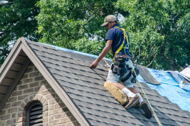 Best Roof Gutter Cleaning  in Granite City, IL